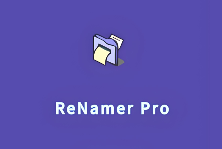 ReNamer(文件批量命名工具)|免安装绿色版-修呗修呗